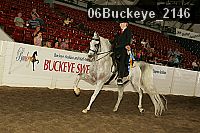 06buckeye_2146 thumbnail