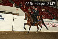 06buckeye_2147 thumbnail