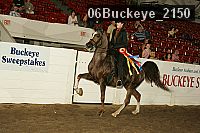 06buckeye_2150 thumbnail