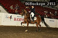 06buckeye_2153 thumbnail