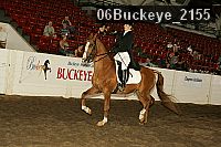 06buckeye_2155 thumbnail