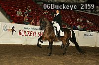 06buckeye_2159 thumbnail