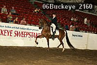 06buckeye_2160 thumbnail