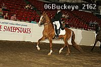 06buckeye_2162 thumbnail