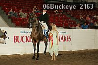 06buckeye_2163 thumbnail