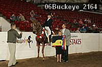 06buckeye_2164 thumbnail