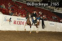 06buckeye_2165 thumbnail