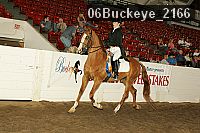 06buckeye_2166 thumbnail