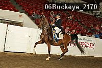 06buckeye_2170 thumbnail