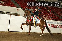 06buckeye_2172 thumbnail