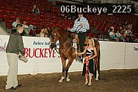 06buckeye_2225 thumbnail