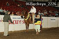 06buckeye_2226 thumbnail