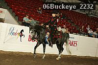 06buckeye_2232 thumbnail