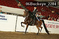 06buckeye_2284 thumbnail