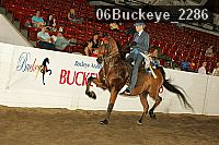 06buckeye_2286 thumbnail