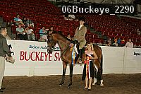 06buckeye_2290 thumbnail