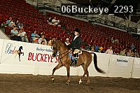 06buckeye_2293 thumbnail