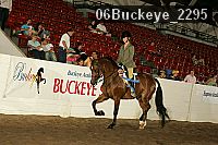 06buckeye_2295 thumbnail