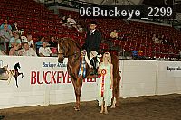 06buckeye_2299 thumbnail