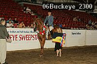 06buckeye_2300 thumbnail