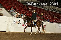 06buckeye_2301 thumbnail