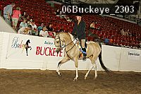 06buckeye_2303 thumbnail