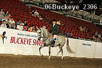 06buckeye_2306 thumbnail