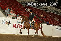 06buckeye_2307 thumbnail