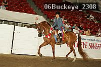 06buckeye_2308 thumbnail