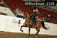 06buckeye_2328 thumbnail