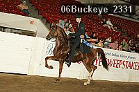 06buckeye_2331 thumbnail