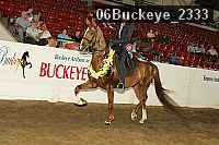 06buckeye_2333 thumbnail