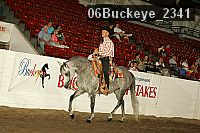 06buckeye_2341 thumbnail