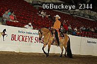 06buckeye_2344 thumbnail