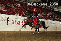 06buckeye_2350 thumbnail