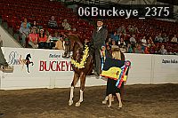 06buckeye_2375 thumbnail