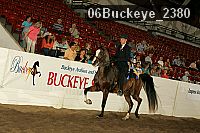 06buckeye_2380 thumbnail