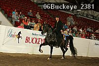 06buckeye_2381 thumbnail