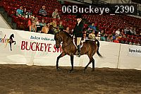 06buckeye_2390 thumbnail