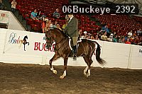 06buckeye_2392 thumbnail