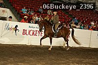 06buckeye_2396 thumbnail