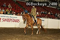 06buckeye_2400 thumbnail