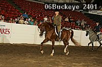 06buckeye_2401 thumbnail