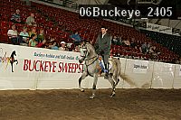 06buckeye_2405 thumbnail