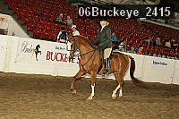 06buckeye_2415 thumbnail