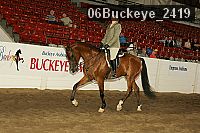 06buckeye_2419 thumbnail