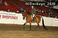 06buckeye_2420 thumbnail