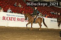 06buckeye_2421 thumbnail