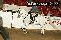 06buckeye_2422 thumbnail