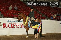 06buckeye_2425 thumbnail